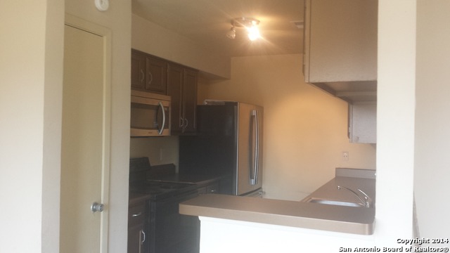 12020 Maplerock St Property Photo 12
