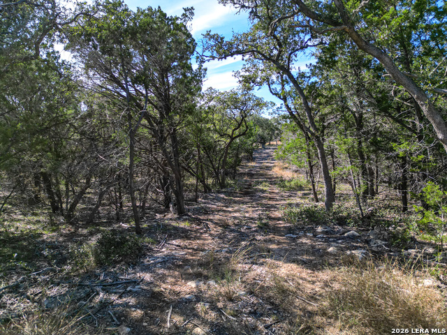 Lot 5 Sophie Property Photo