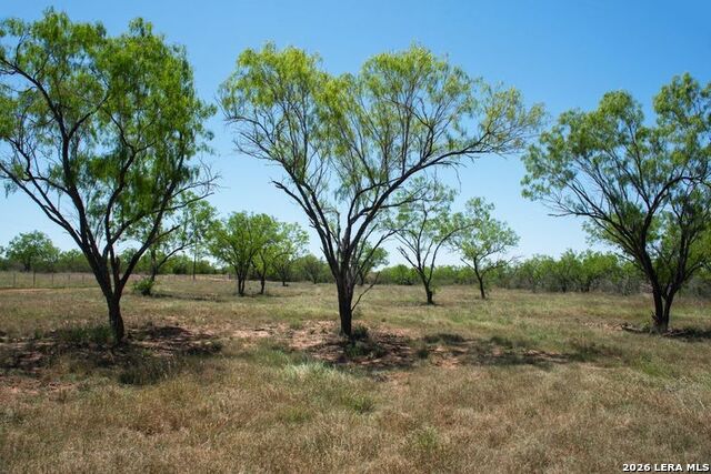 Lot 3 Fm 1332 Property Photo 14