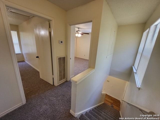 9940 Ardash Ln Property Photo 9