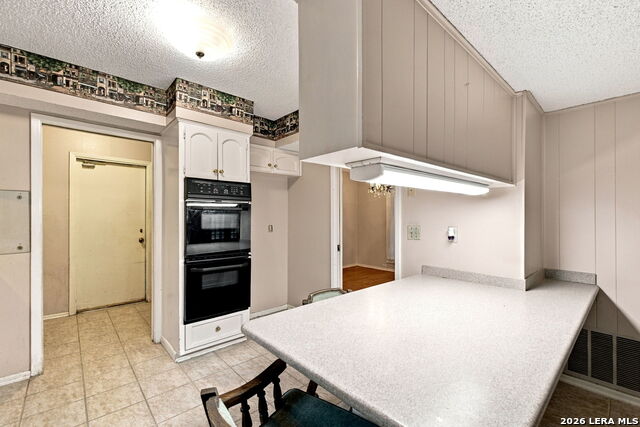 16419 Ledge Point St Property Photo 11