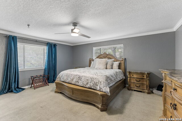 157 Lorne Property Photo 11