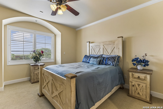 15901 Fm 2402 Property Photo 33