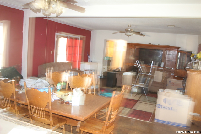 272 Jourdanton Property Photo 12