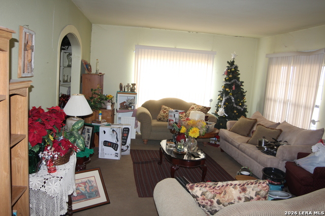 272 Jourdanton Property Photo 18