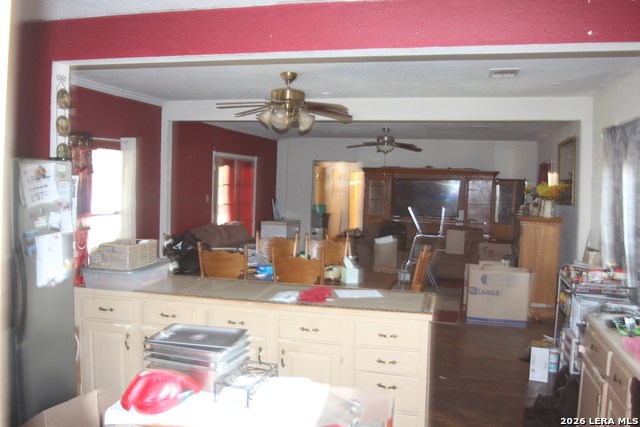 272 Jourdanton Property Photo 19