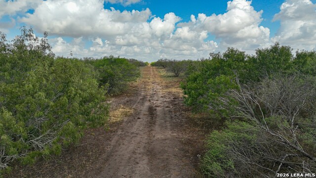 11.64+/- Acres County Road 158 Property Photo 3