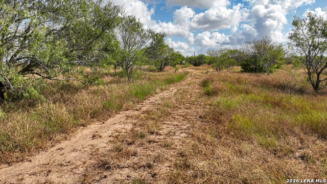 11.64+/- Acres County Road 158 Property Photo 4