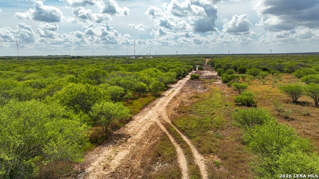11.64+/- Acres County Road 158 Property Photo 6