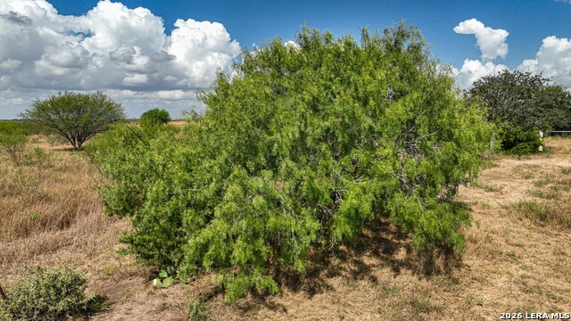 11.64+/- Acres County Road 158 Property Photo 8