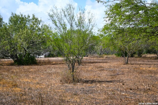 11.64+/- Acres County Road 158 Property Photo 9