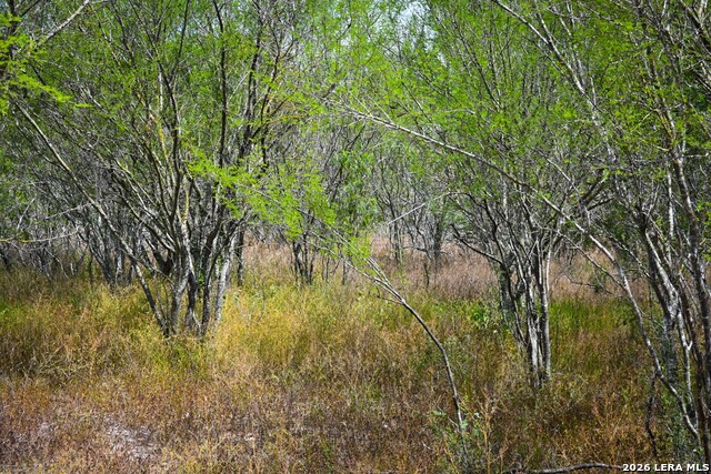 11.64+/- Acres County Road 158 Property Photo 11