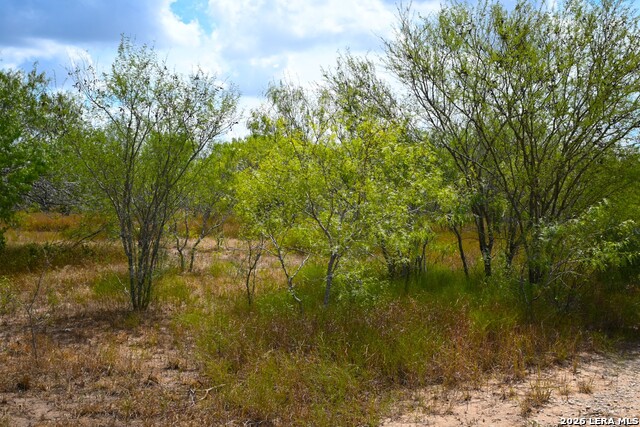 11.64+/- Acres County Road 158 Property Photo 12