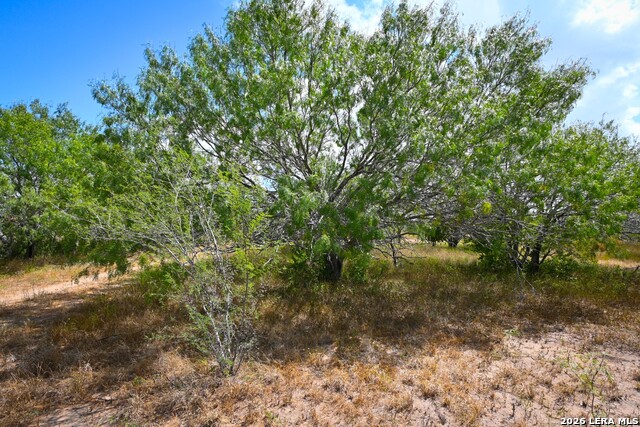 11.64+/- Acres County Road 158 Property Photo 13