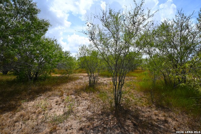 11.64+/- Acres County Road 158 Property Photo 14
