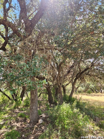 Lot 50-51 Pr 1524 Property Photo 5