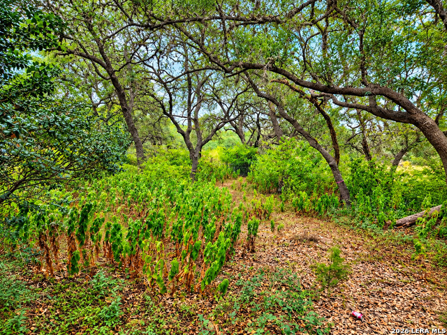 22334 Scenic Loop Rd Property Photo 1