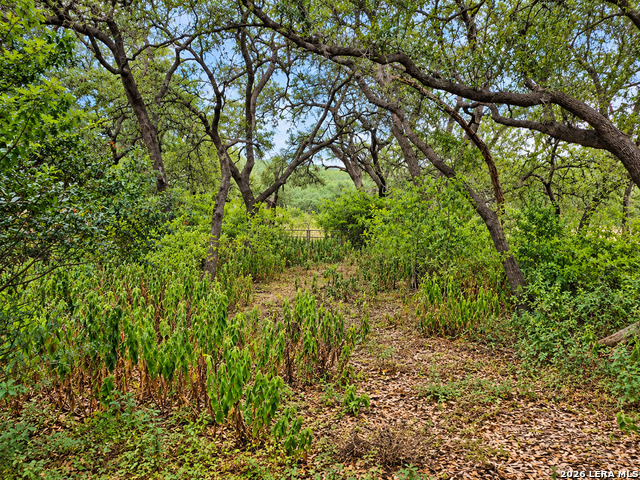 22334 Scenic Loop Rd Property Photo 4