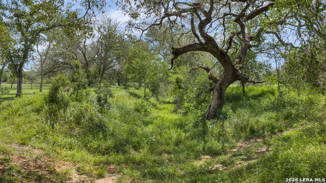 11970 Sulphur Springs Rd Property Photo 45