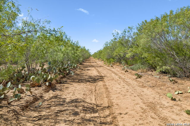 1066 Raices Road Property Photo 24