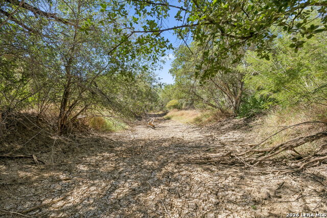 1066 Raices Road Property Photo 25