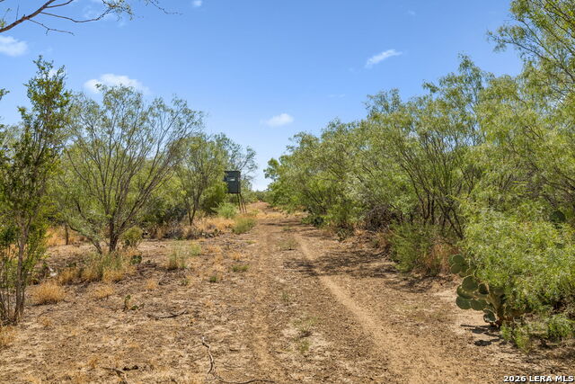 1066 Raices Road Property Photo 33