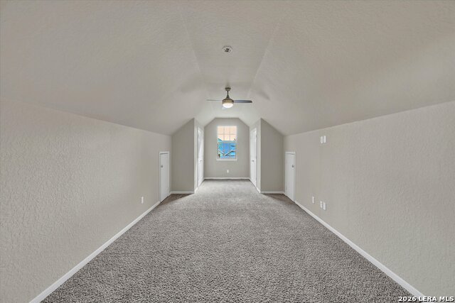 520 Brook Shadow Property Photo 19