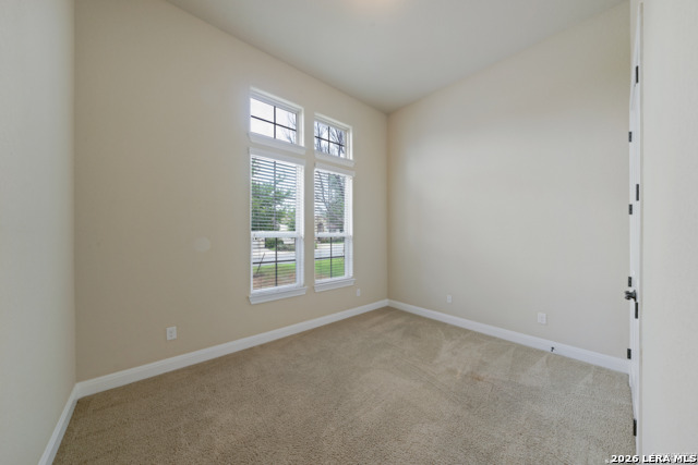 42 Avalon Park Property Photo 26