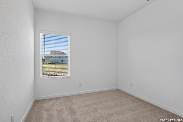 156 Thornbloom Property Photo 25