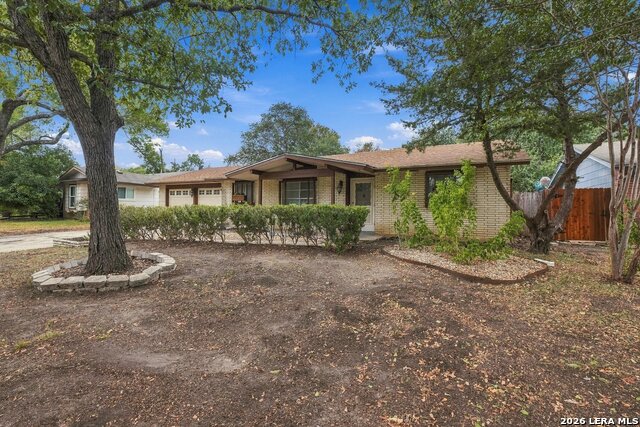 7123 Tealeaf St Property Photo 23