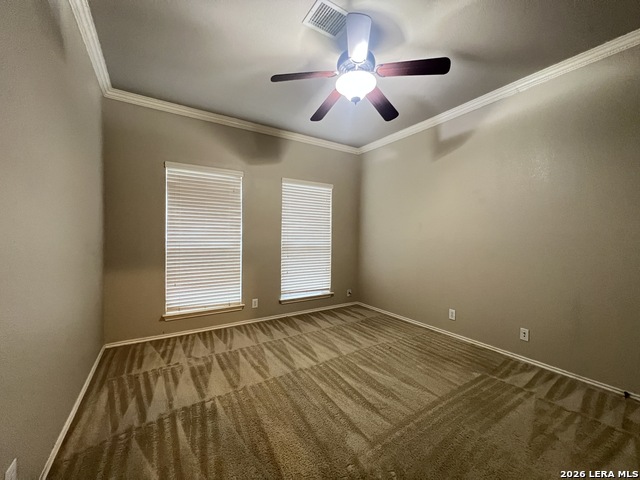 414 Cattle Ranch Dr Property Photo 11