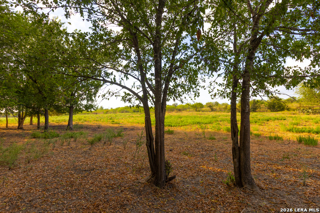 Tract 2 75 Acre Fm 1063 Property Photo 7