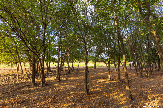 Tract 2 75 Acre Fm 1063 Property Photo 21