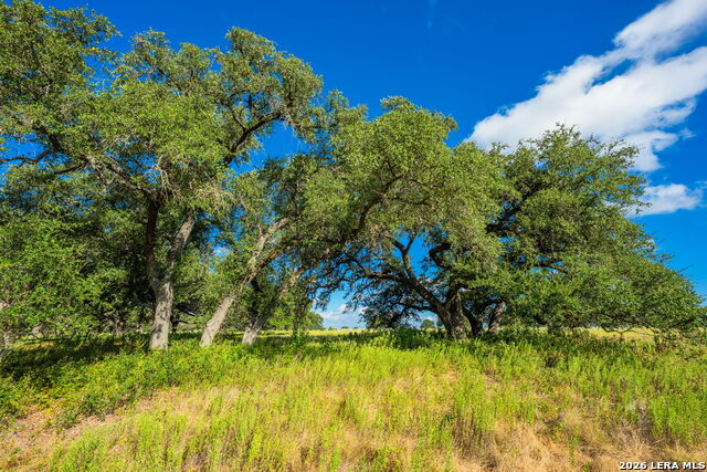 5541 W Us Highway 290 Property Photo 14