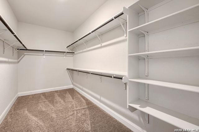 9419 Bracted Sedge Property Photo 18