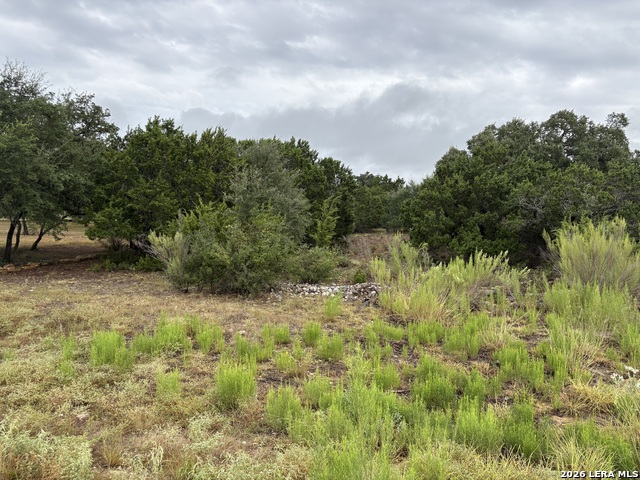 Lot 488 Horseshoe Falls Property Photo 2