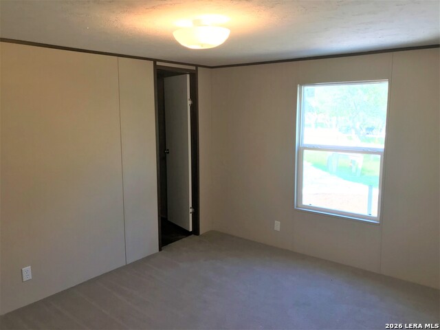 28 Tin Cup Loop Property Photo 12