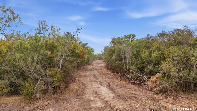 Tbd Fm 743 Property Photo 21