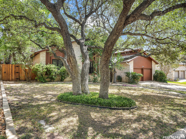 15907 Wolf Creek St Property Photo 4