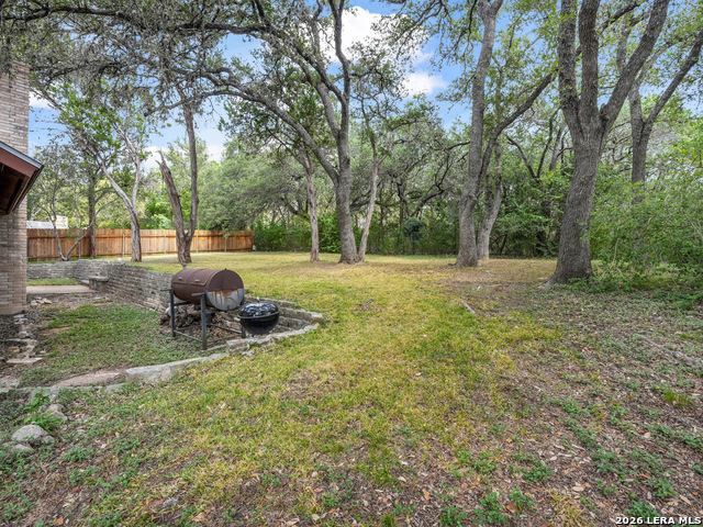15907 Wolf Creek St Property Photo 49