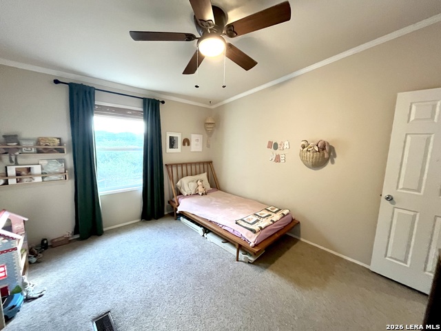 106 Scenic Vw Property Photo 19