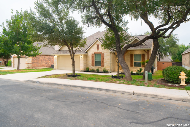803 Gold Beauty Property Photo 3