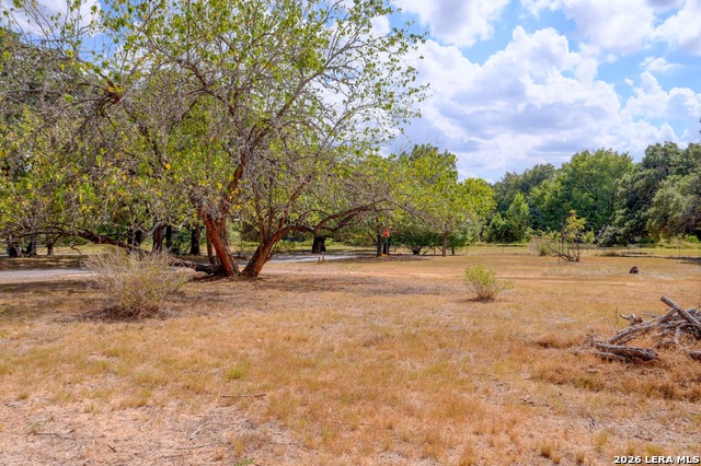 3 Elm St Property Photo 11