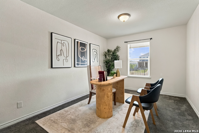 11211 Aristides Property Photo 24