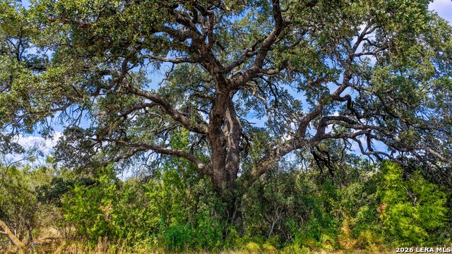 Cr 265 Tx Property Photo 18