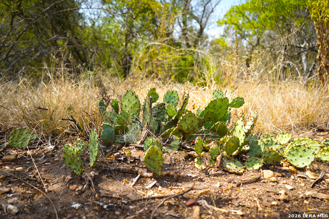 Cr 265 Tx Property Photo 20