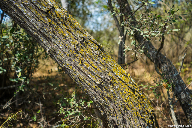 Cr 265 Tx Property Photo 22