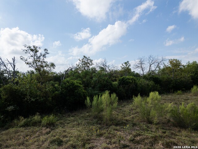 00 Haeckerville Road Property Photo 27