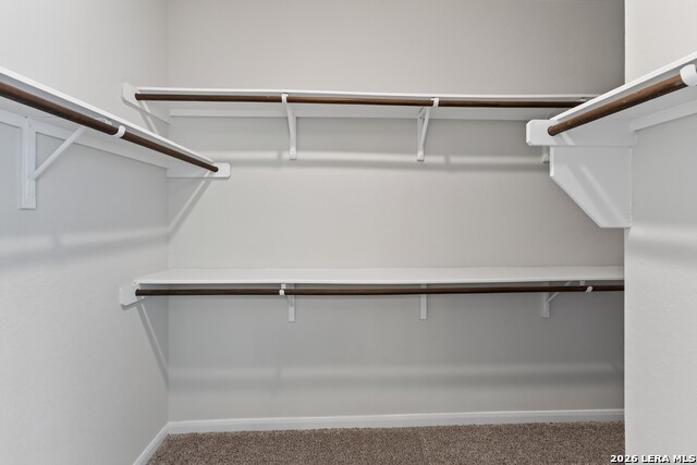 4823 Cambridge Park Property Photo 23