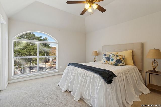 6702 Morning Shadow Ln Property Photo 17